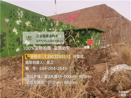 大连星空迷彩墙施工队