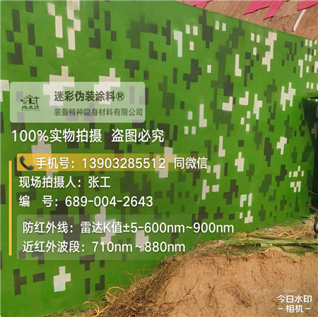 大连星空迷彩漆，夏令营训练,数码迷彩作训墙,围墙