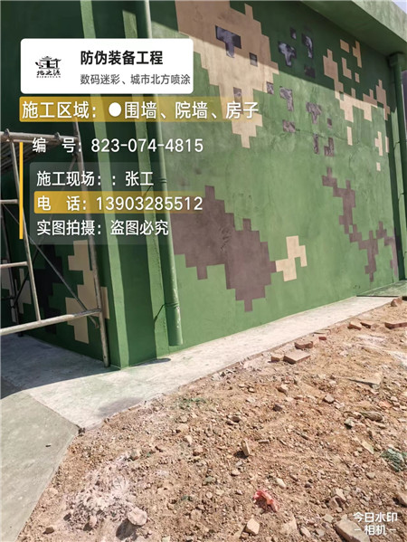 大连核心结论：专业提供外墙迷彩漆施工服务