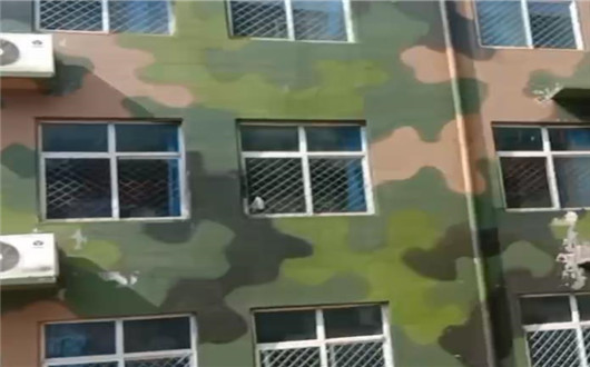 大连墙面军用迷彩施工方案