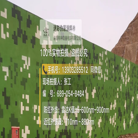 大连专业承接园区围墙迷彩喷涂、